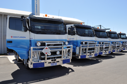 Environmental Responsibility | Centurion
